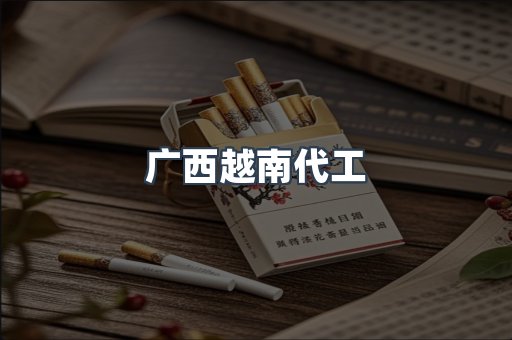广西越南代工